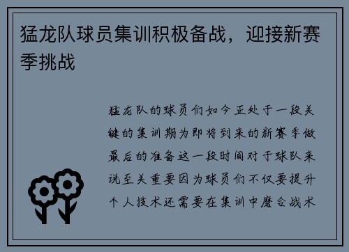 猛龙队球员集训积极备战，迎接新赛季挑战